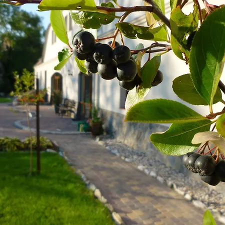 Фермерский дом Aronia Park