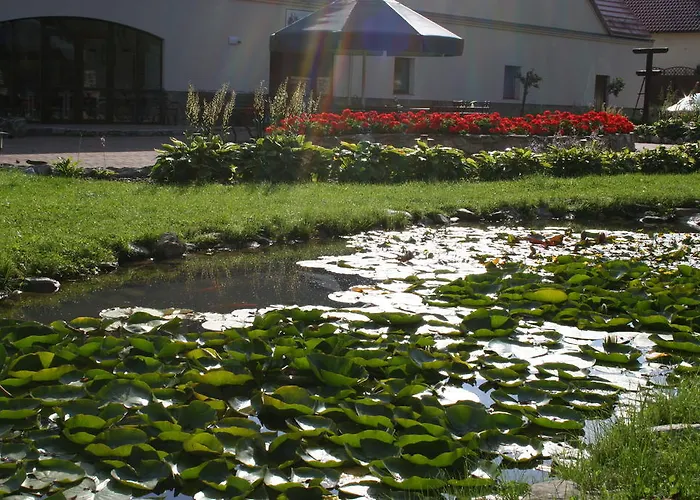 Aronia Park Lubiechowa