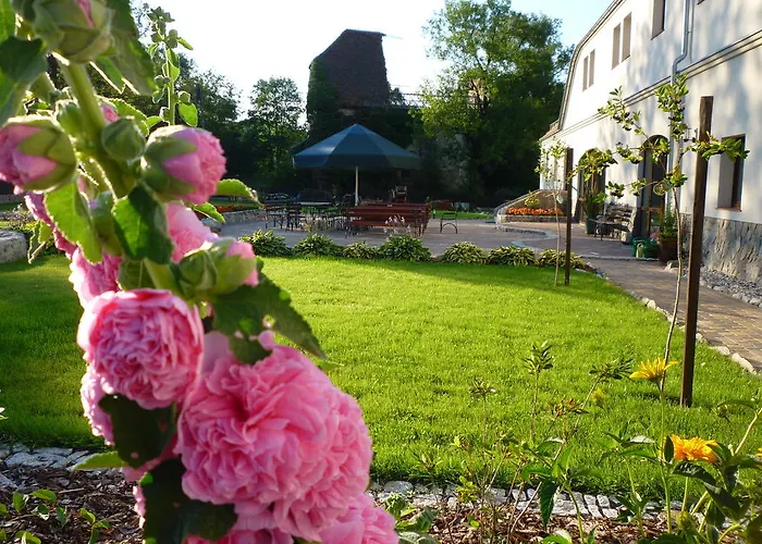 팜스테이 Aronia Park *