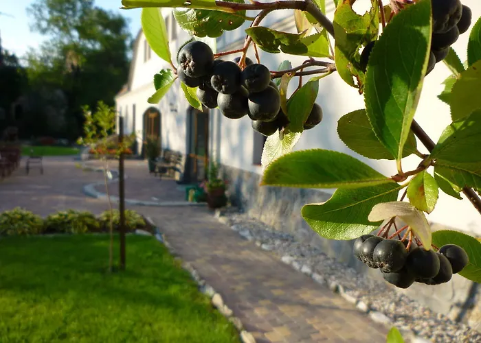 팜스테이 Aronia Park